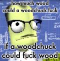 ㅤ | how much wood could a woodchuck fuсk; if a woodchuck could fuсk wood | made w/ Imgflip meme maker