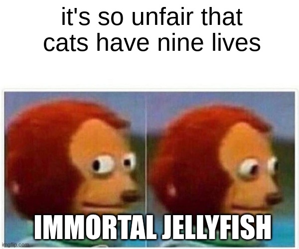 Monkey Puppet | it's so unfair that cats have nine lives; IMMORTAL JELLYFISH | image tagged in memes,monkey puppet | made w/ Imgflip meme maker