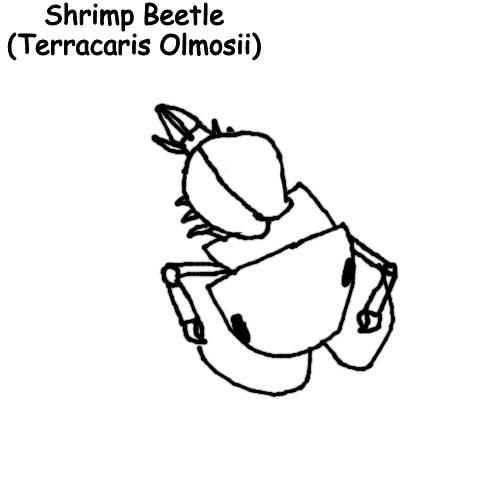 High Quality Shrimp Beetle Blank Meme Template