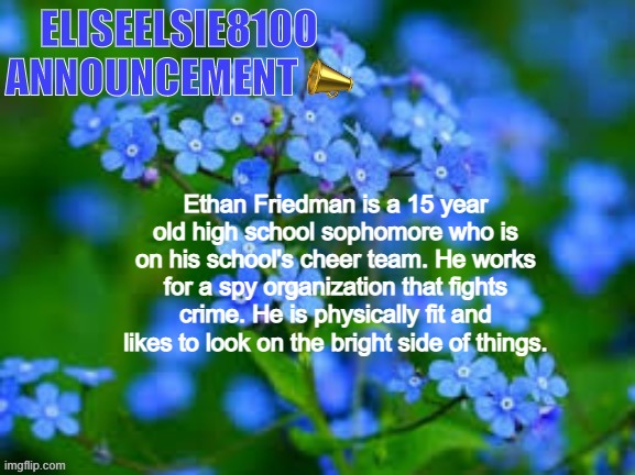 copypasta | Ethan Friedman is a 15 year old high school sophomore who is on his school's cheer team. He works for a spy organization that fights crime. He is physically fit and likes to look on the bright side of things. | image tagged in eliseelsie8100 announcement | made w/ Imgflip meme maker