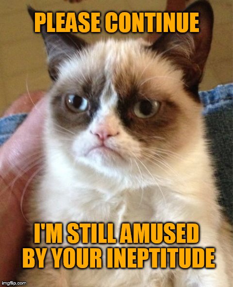 not amused | PLEASE CONTINUE I'M STILL AMUSED BY YOUR INEPTITUDE | image tagged in memes,grumpy cat,amused,funny,demotivationals | made w/ Imgflip meme maker