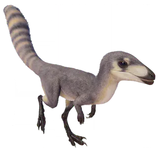 Sinosauropteryx (JWE Design) Blank Meme Template
