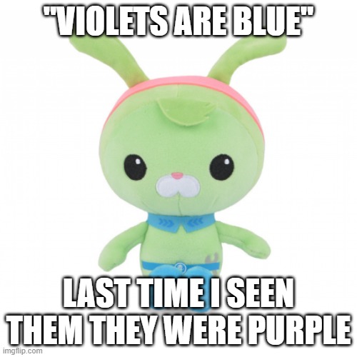 da gorl | "VIOLETS ARE BLUE"; LAST TIME I SEEN THEM THEY WERE PURPLE | image tagged in da gorl | made w/ Imgflip meme maker