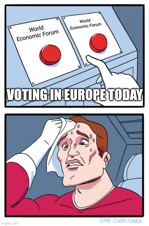 Klaus schwab | World Economic Forum; World Economic Forum; VOTING IN EUROPE TODAY | image tagged in memes,two buttons | made w/ Imgflip meme maker