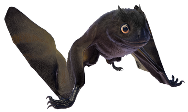 Jeholopterus (JWE Design) Blank Meme Template