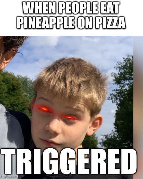 This is a boy from my old school | WHEN PEOPLE EAT PINEAPPLE ON PIZZA; TRIGGERED | image tagged in kbs sb | made w/ Imgflip meme maker