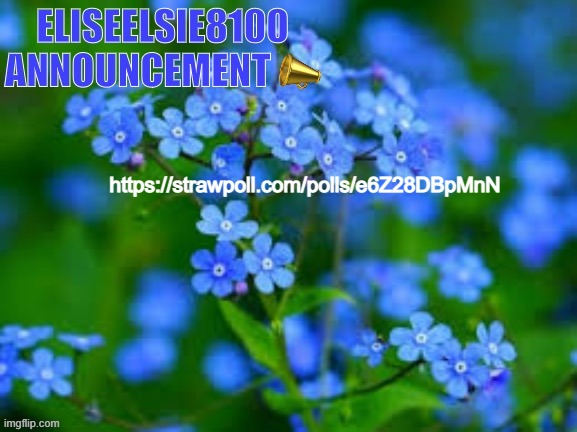 EliseElsie8100 Announcement | https://strawpoll.com/polls/e6Z28DBpMnN | image tagged in eliseelsie8100 announcement | made w/ Imgflip meme maker
