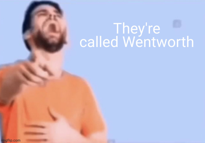 Laughing and pointing | They're called Wentworth | image tagged in laughing and pointing | made w/ Imgflip meme maker