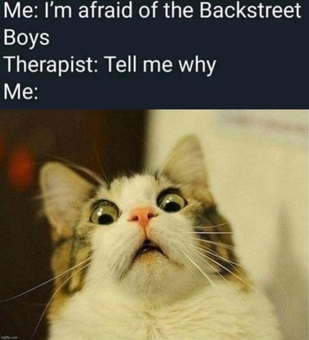 image tagged in memes,scared cat | made w/ Imgflip meme maker