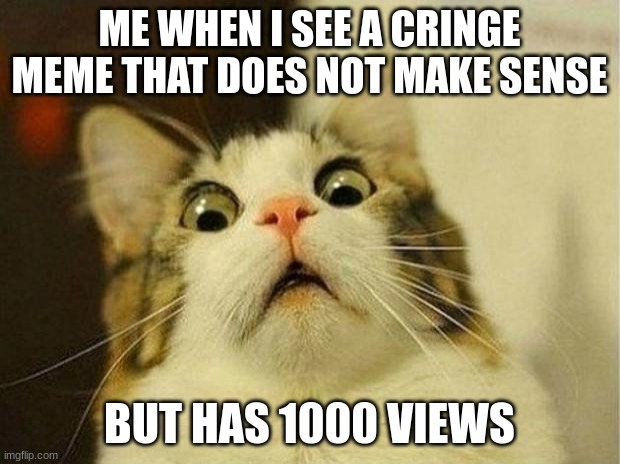 cringe memees be like | ME WHEN I SEE A CRINGE MEME THAT DOES NOT MAKE SENSE; BUT HAS 1000 VIEWS | image tagged in memes,scared cat | made w/ Imgflip meme maker