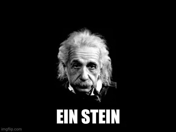 Albert Einstein 1 Meme | EIN STEIN | image tagged in memes,albert einstein 1 | made w/ Imgflip meme maker