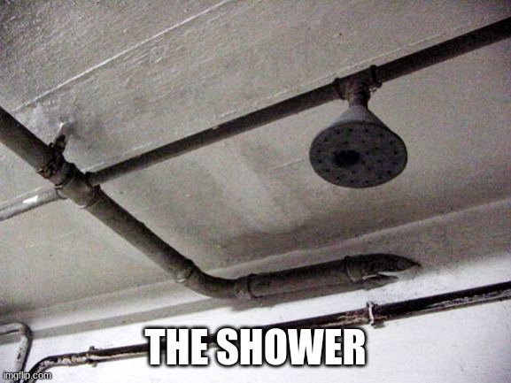 Gas Chambers | THE SHOWER | image tagged in gas chambers | made w/ Imgflip meme maker