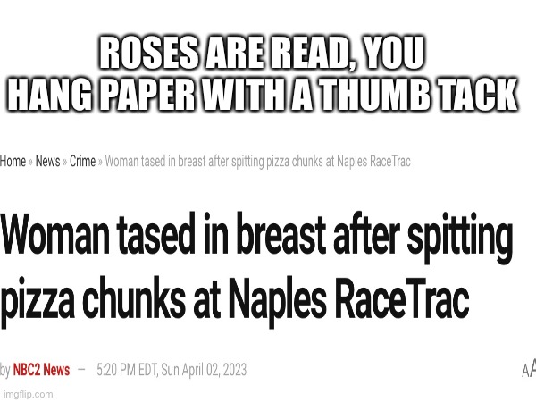 Clever devious title | ROSES ARE READ, YOU HANG PAPER WITH A THUMB TACK | image tagged in memes,funny memes,walter white,roses are red | made w/ Imgflip meme maker