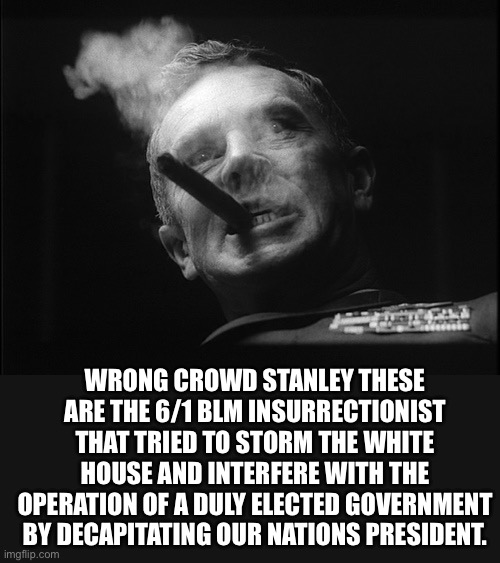General Ripper (Dr. Strangelove) | WRONG CROWD STANLEY THESE ARE THE 6/1 BLM INSURRECTIONIST THAT TRIED TO STORM THE WHITE HOUSE AND INTERFERE WITH THE OPERATION OF A DULY ELE | image tagged in general ripper dr strangelove | made w/ Imgflip meme maker