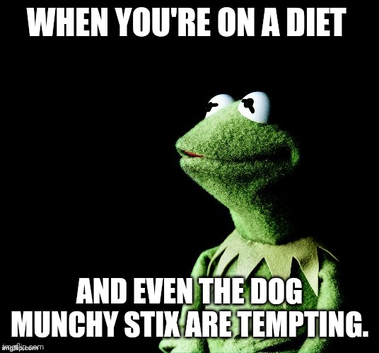 Contemplative Kermit | WHEN YOU'RE ON A DIET; AND EVEN THE DOG MUNCHY STIX ARE TEMPTING. | image tagged in contemplative kermit | made w/ Imgflip meme maker
