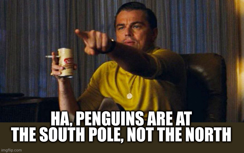 Leo pointing | HA, PENGUINS ARE AT THE SOUTH POLE, NOT THE NORTH | image tagged in leo pointing | made w/ Imgflip meme maker