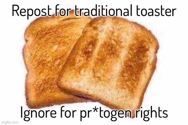 Traditional toaster can: Toast bread, be very cheap, be easily placed in your kitchen, doesn’t look gross, and isn’t gay | Repost for traditional toaster; Ignore for pr*togen rights | image tagged in toast,balls,traditional toasters | made w/ Imgflip meme maker