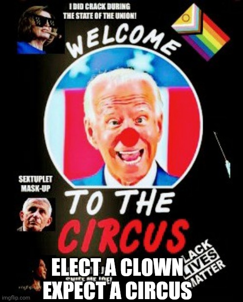 ELECT A CLOWN
EXPECT A CIRCUS | made w/ Imgflip meme maker