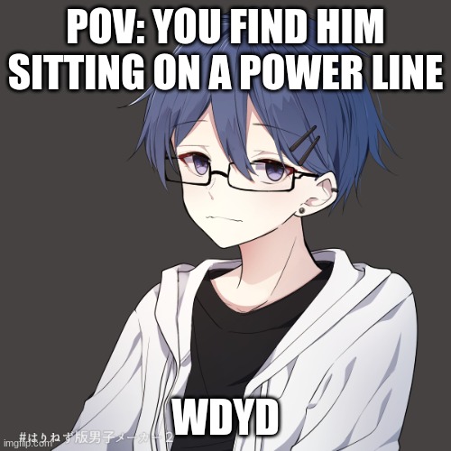POV: YOU FIND HIM SITTING ON A POWER LINE; WDYD | made w/ Imgflip meme maker