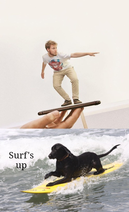 Mobile surfing | Surf's up | image tagged in surfs up,mobile,iphone,surfing,optical illusion,memes | made w/ Imgflip meme maker