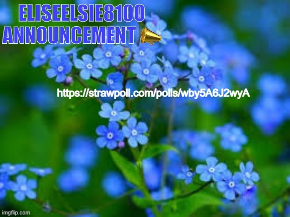 EliseElsie8100 Announcement | https://strawpoll.com/polls/wby5A6J2wyA | image tagged in eliseelsie8100 announcement | made w/ Imgflip meme maker