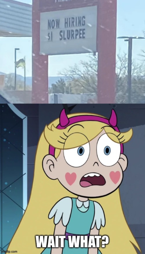 Now hiring what? | image tagged in star butterfly wait what,star vs the forces of evil,you had one job,memes | made w/ Imgflip meme maker