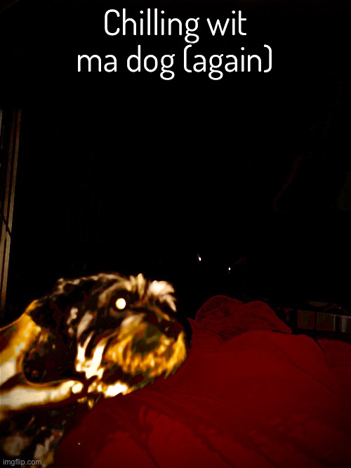 Did I just make a trend without the trendsetter being the trend? | Chilling wit ma dog (again) | image tagged in balls | made w/ Imgflip meme maker