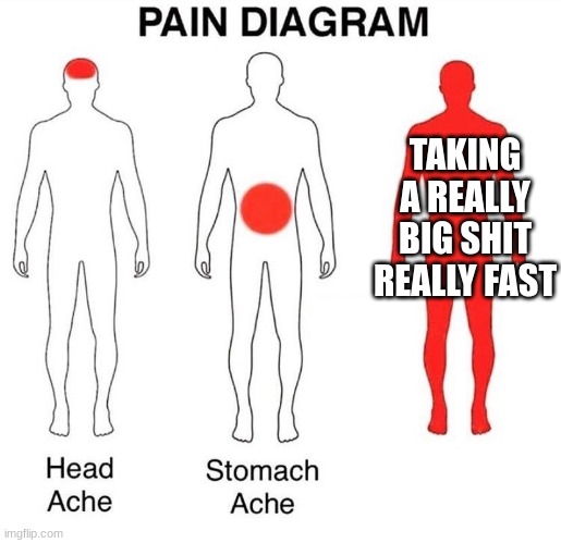 Pain Diagram | TAKING A REALLY BIG SHIT REALLY FAST | image tagged in pain diagram | made w/ Imgflip meme maker