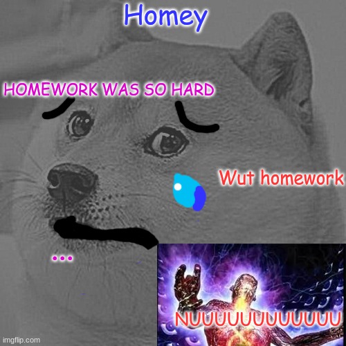 NO | Homey; HOMEWORK WAS SO HARD; Wut homework; ... NUUUUUUUUUUUU | image tagged in memes,doge | made w/ Imgflip meme maker