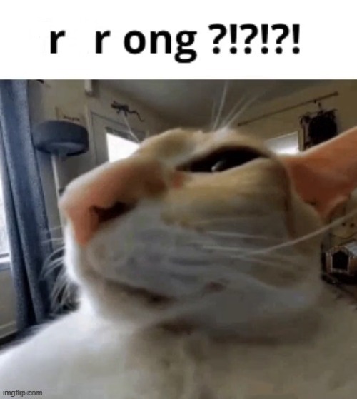 r r ong?!?!?! | image tagged in fr fr ong | made w/ Imgflip meme maker