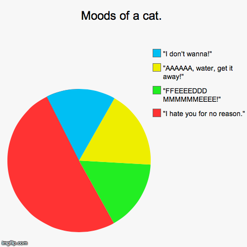 Moods of a cat. | "I hate you for no reason.", "FFEEEEDDD MMMMMMEEEE!", "AAAAAA, water, get it away!", "I don't wanna!" | image tagged in funny,pie charts | made w/ Imgflip chart maker