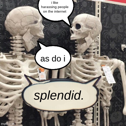 splendid | i like harassing people on the internet; as do i; splendid. | image tagged in two skeletons | made w/ Imgflip meme maker