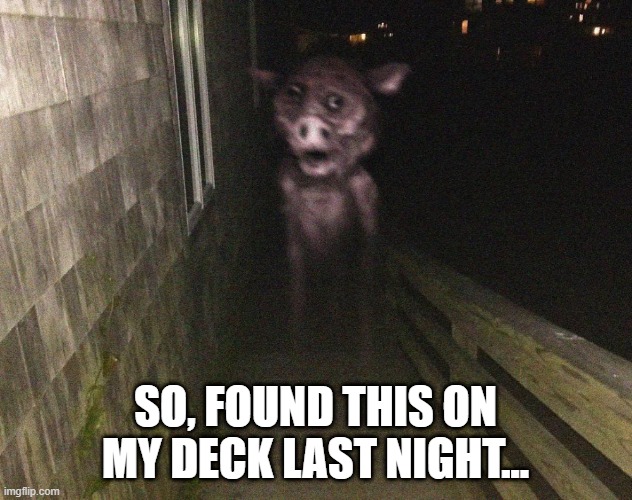 Creeeeeepy | SO, FOUND THIS ON MY DECK LAST NIGHT... | image tagged in unsee juice | made w/ Imgflip meme maker