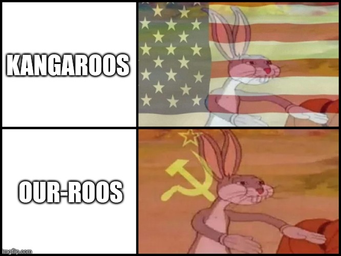 Our-roos | KANGAROOS; OUR-ROOS | image tagged in capitalist and communist | made w/ Imgflip meme maker