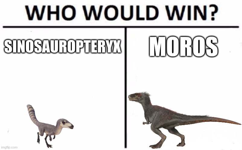 Who Would Win? | SINOSAUROPTERYX; MOROS | image tagged in memes,who would win,dinosaur,jurassic park,jurassic world | made w/ Imgflip meme maker