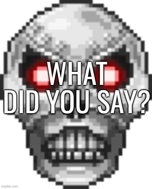 WHAT DID YOU SAY? | made w/ Imgflip meme maker