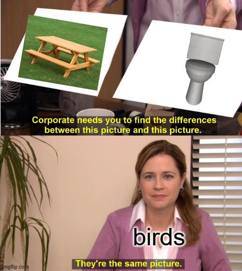 They're The Same Picture Meme | birds | image tagged in memes,they're the same picture | made w/ Imgflip meme maker