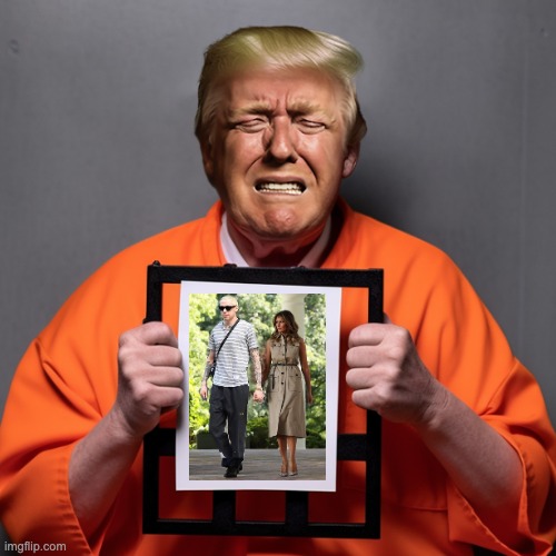 Pain | image tagged in donald trump criminal | made w/ Imgflip meme maker