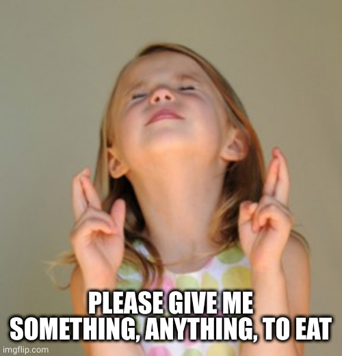 fingers crossed | PLEASE GIVE ME SOMETHING, ANYTHING, TO EAT | image tagged in fingers crossed | made w/ Imgflip meme maker