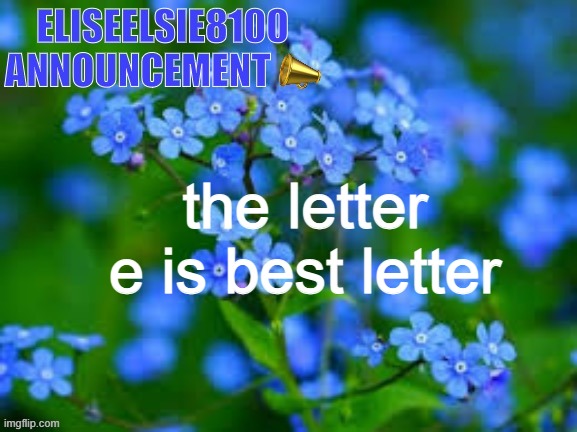 EliseElsie8100 Announcement | the letter e is best letter | image tagged in eliseelsie8100 announcement | made w/ Imgflip meme maker