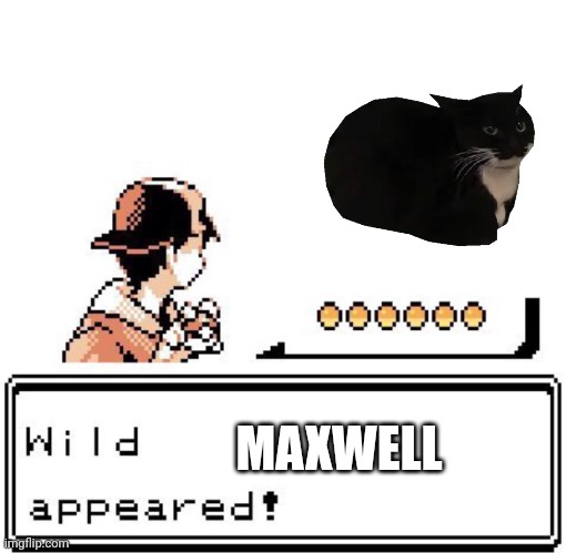 Blank Wild Pokemon Appears | MAXWELL | image tagged in blank wild pokemon appears | made w/ Imgflip meme maker