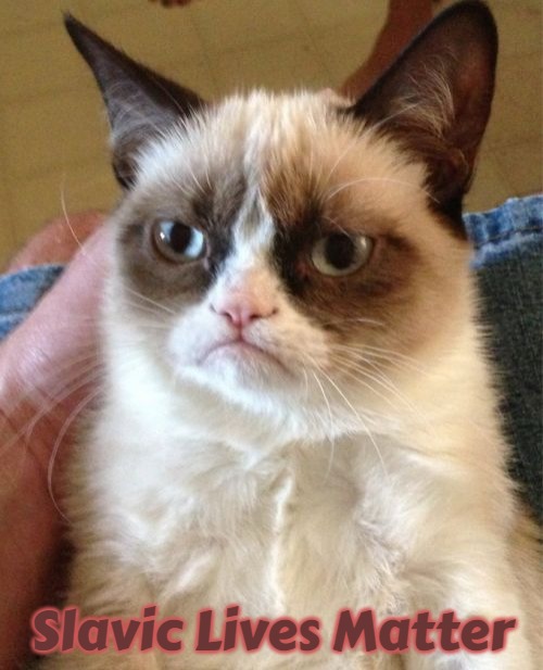 Grumpy Cat Meme | Slavic Lives Matter | image tagged in memes,grumpy cat,slavic | made w/ Imgflip meme maker