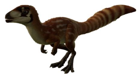 Sinosauropteryx 2 (JWE Design) Blank Meme Template