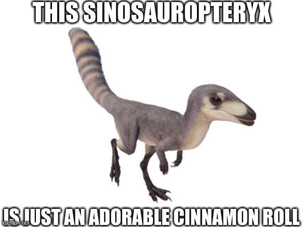THIS SINOSAUROPTERYX; IS JUST AN ADORABLE CINNAMON ROLL | image tagged in jurassic world,dinosaur,cute,jurassic world evolution | made w/ Imgflip meme maker