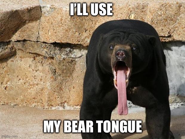 Bear with tongue sticking out | I’LL USE MY BEAR TONGUE | image tagged in bear with tongue sticking out | made w/ Imgflip meme maker