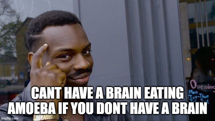 Roll Safe Think About It Meme | CANT HAVE A BRAIN EATING AMOEBA IF YOU DONT HAVE A BRAIN | image tagged in memes,roll safe think about it | made w/ Imgflip meme maker
