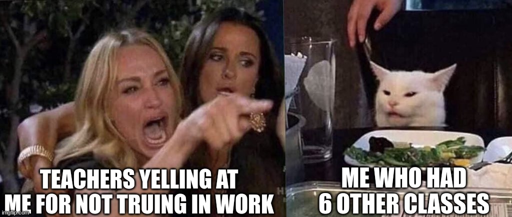 woman yelling at cat | TEACHERS YELLING AT ME FOR NOT TRUING IN WORK; ME WHO HAD 6 OTHER CLASSES | image tagged in woman yelling at cat | made w/ Imgflip meme maker