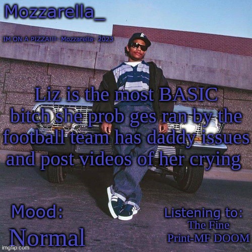 Eazy-E Temp | Liz is the most BASIC bitch she prob ges ran by the football team has daddy issues and post videos of her crying; The Fine Print-MF DOOM; Normal | image tagged in eazy-e temp | made w/ Imgflip meme maker