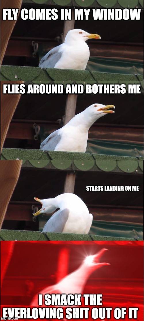 Inhaling Seagull | FLY COMES IN MY WINDOW; FLIES AROUND AND BOTHERS ME; STARTS LANDING ON ME; I SMACK THE EVERLOVING SHIT OUT OF IT | image tagged in memes,inhaling seagull | made w/ Imgflip meme maker