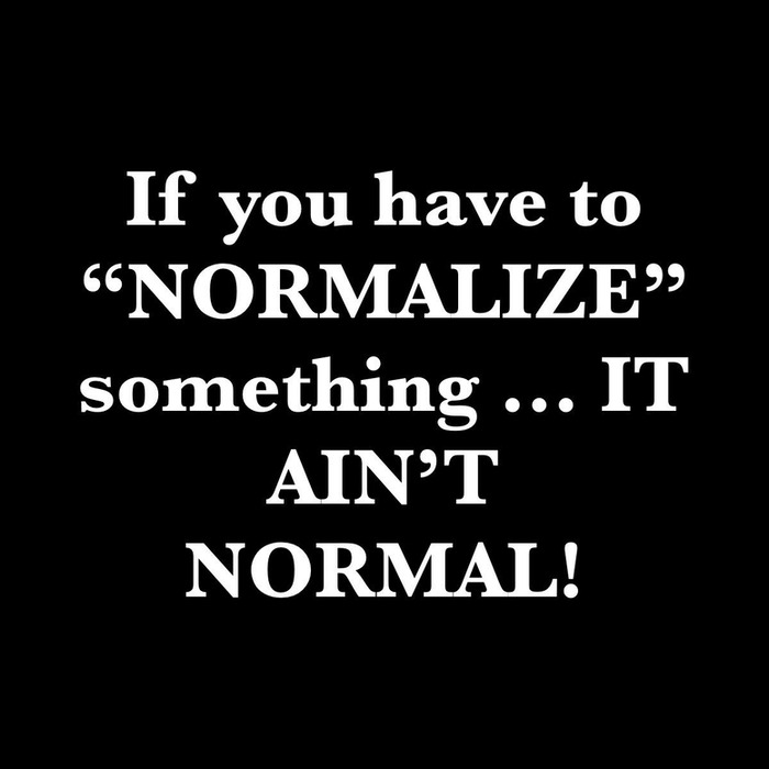 If you have to normalize something, it sounds like communist propaganda. | image tagged in sounds like communist propaganda,crush the commies,new normal,why can't you just be normal | made w/ Imgflip meme maker